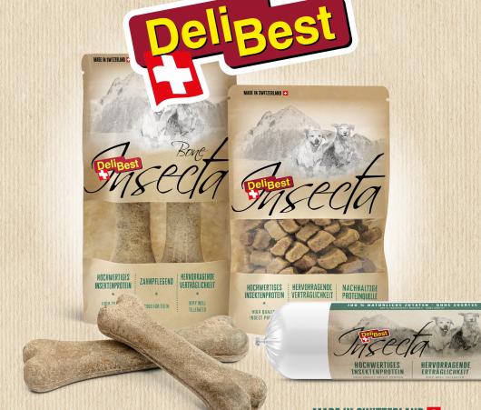 Insecta Snack – Innovatives Wohlbefinden für Ihren Hund